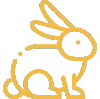 rabbit icon